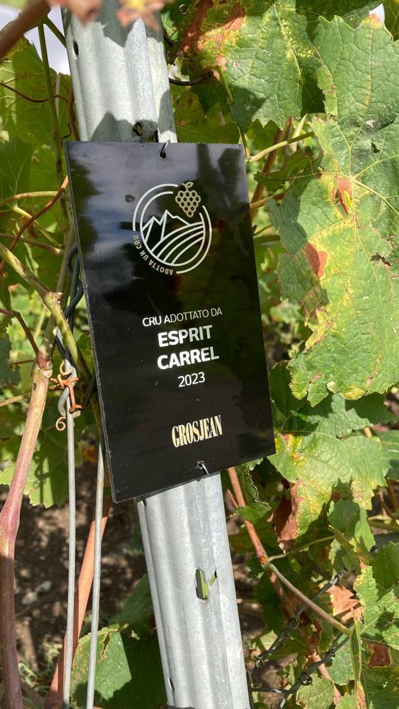 prodotti Esprit Carrel Cervino - vino